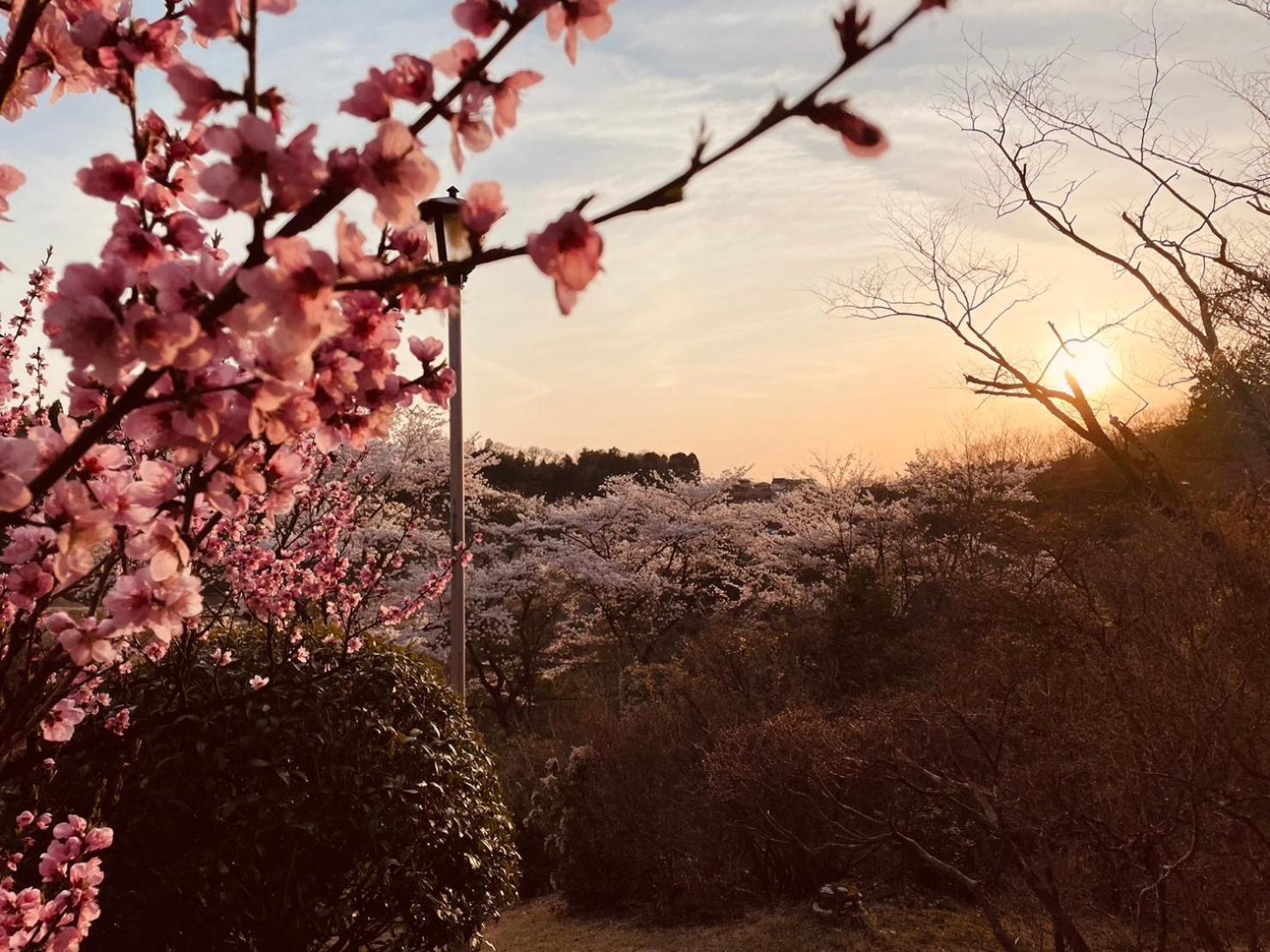 Granping ng が mi no Du Hotel Nakatsugawa Eksteriør billede