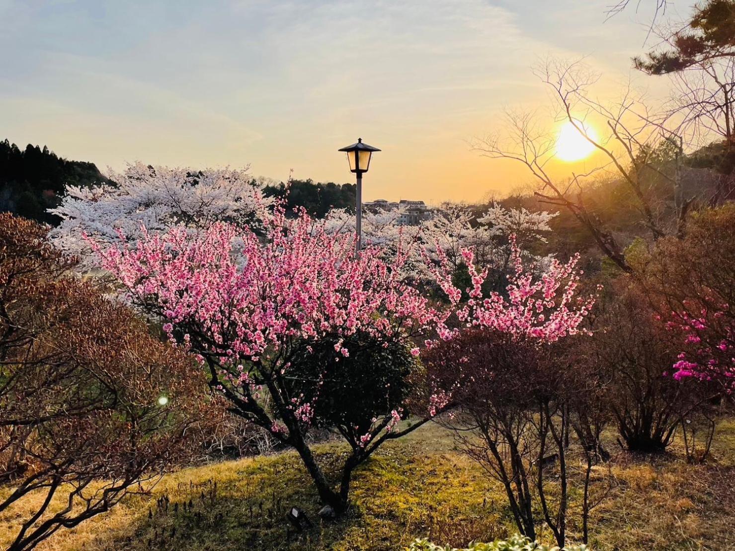 Granping ng が mi no Du Hotel Nakatsugawa Eksteriør billede